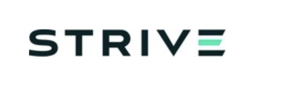 Strive logo