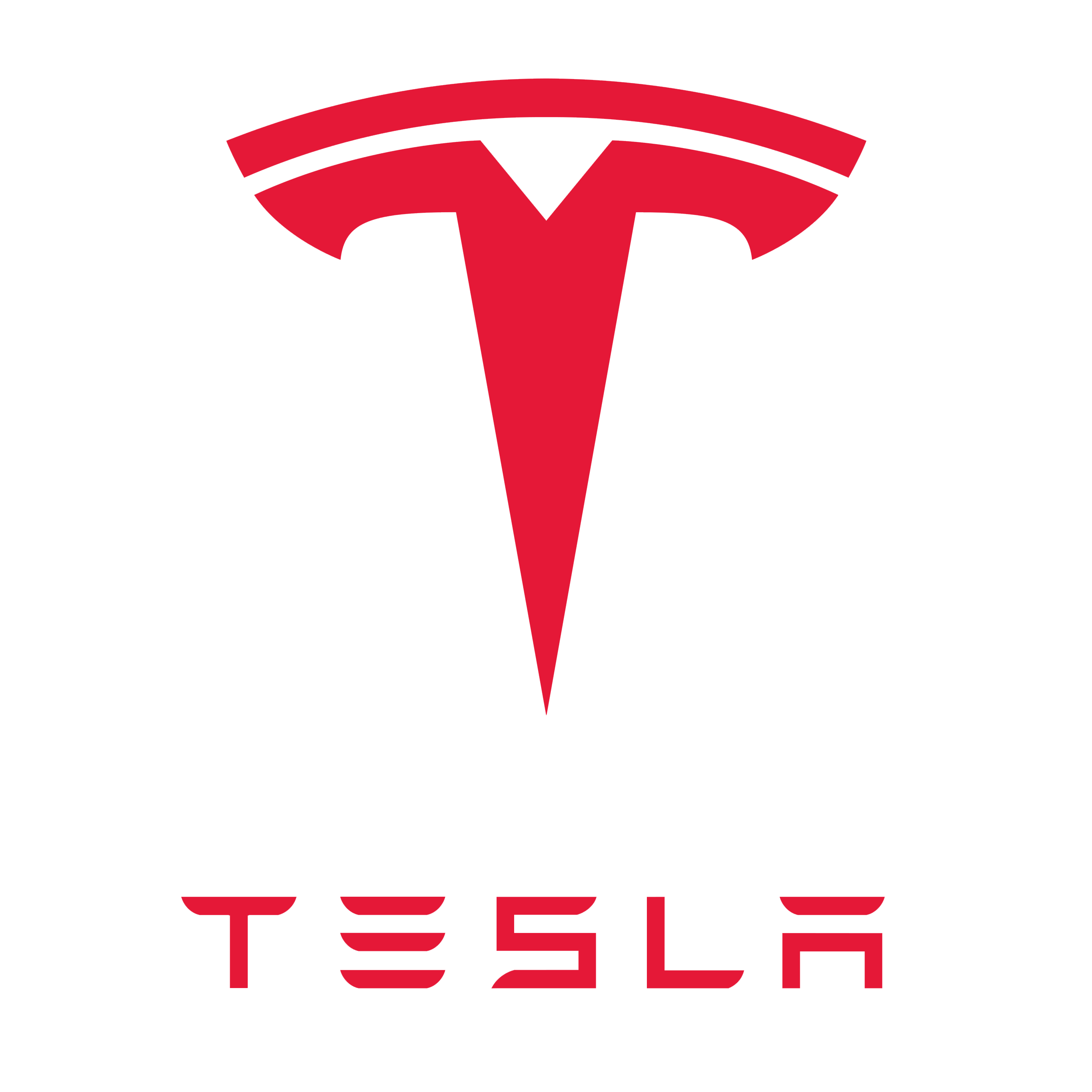 Tesla, Inc. logo