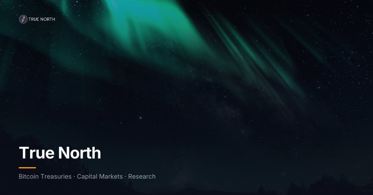 True North logo